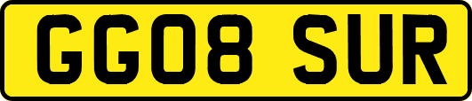 GG08SUR