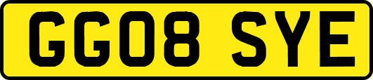 GG08SYE