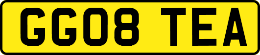 GG08TEA