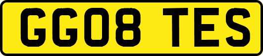 GG08TES