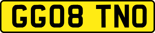 GG08TNO