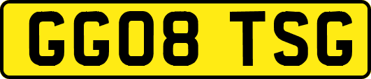 GG08TSG