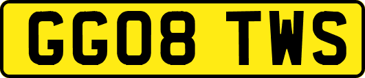 GG08TWS