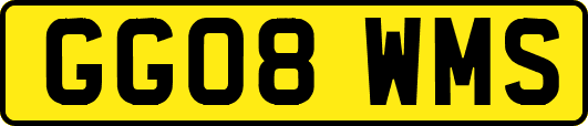GG08WMS