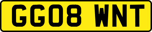 GG08WNT