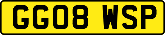 GG08WSP