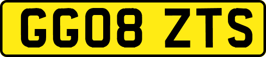 GG08ZTS