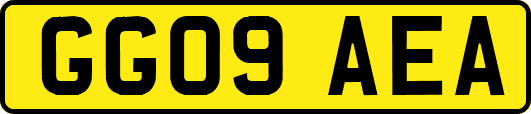 GG09AEA