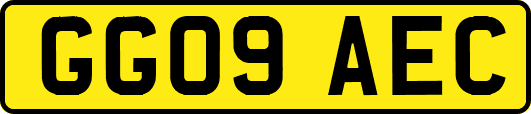 GG09AEC