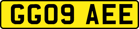 GG09AEE