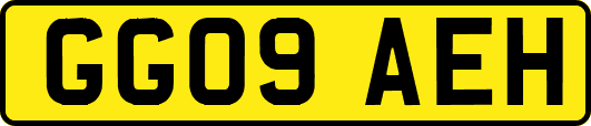GG09AEH