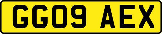 GG09AEX
