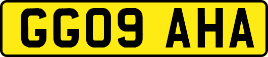 GG09AHA