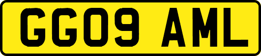 GG09AML