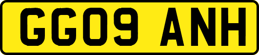 GG09ANH