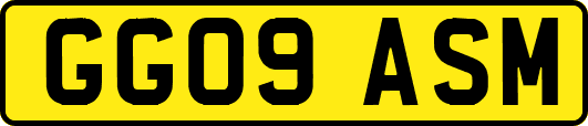 GG09ASM