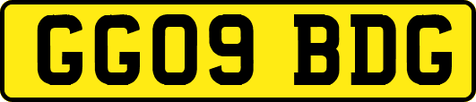 GG09BDG