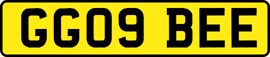 GG09BEE