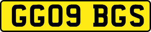 GG09BGS