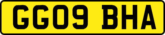 GG09BHA