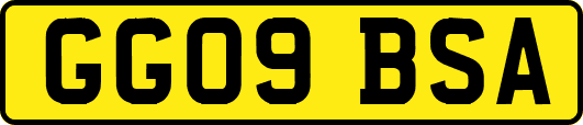 GG09BSA