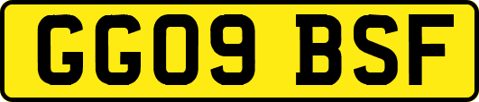 GG09BSF