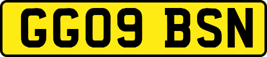 GG09BSN
