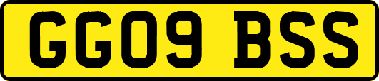 GG09BSS