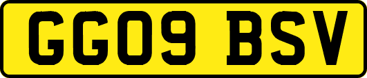 GG09BSV