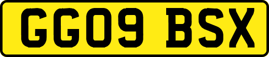GG09BSX