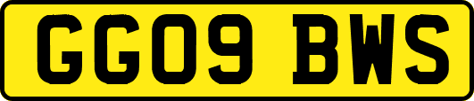 GG09BWS