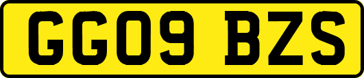 GG09BZS