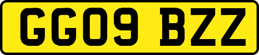 GG09BZZ
