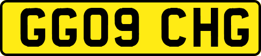 GG09CHG