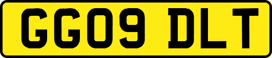 GG09DLT