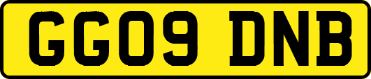 GG09DNB