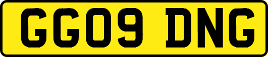 GG09DNG