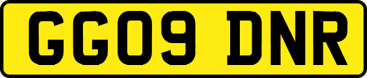 GG09DNR