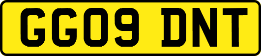 GG09DNT