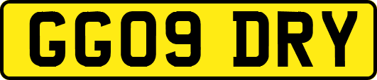 GG09DRY