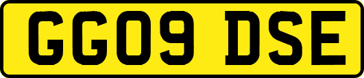 GG09DSE