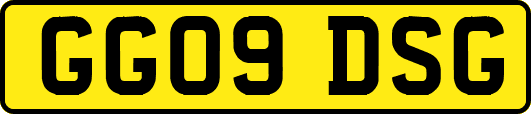 GG09DSG