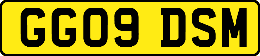 GG09DSM