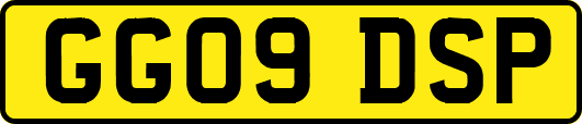 GG09DSP