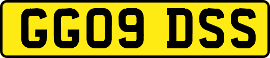 GG09DSS