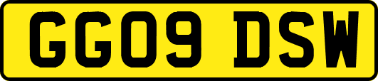 GG09DSW