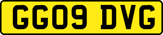 GG09DVG