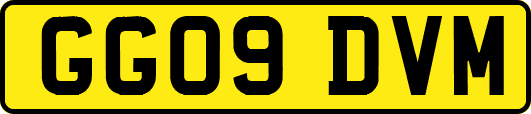 GG09DVM
