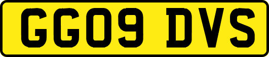 GG09DVS