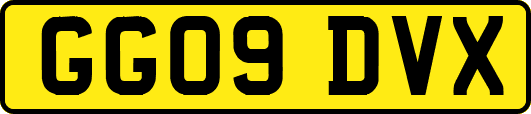 GG09DVX